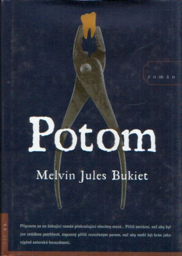 Melvin Jules Bukiet - Potom